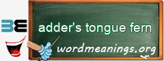 WordMeaning blackboard for adder's tongue fern